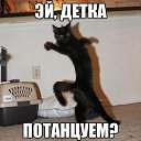 ���� ������, ���������, 70 ��� - ��������� 10 ������ 2016 � ������ ���� ����������