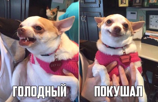 :