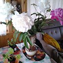 ���� ���������, �����-��������� - ��������� 26 ������� 2016 � ������ �����