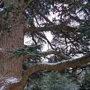  , , 60  -  29  2016     ,23.01.16.