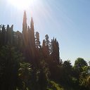 ���� �����, ������������ - ��������� 7 ������� 2016 � ������ ��������.�