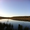 ���� �����, ����������, 49 ��� - ��������� 18 ������� 2015 � ������ ���� ����������