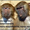 ���� �����, �������� - ��������� 9 ������ 2015 � ������ ������ ��������