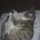 ���� ����, ������, 44 ���� - ��������� 5 ������� 2015 � ������ ���� ����������