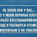 ���� Kolya, ����, 52 ���� - ��������� 18 ������� 2015 � ������ ����� � ��������