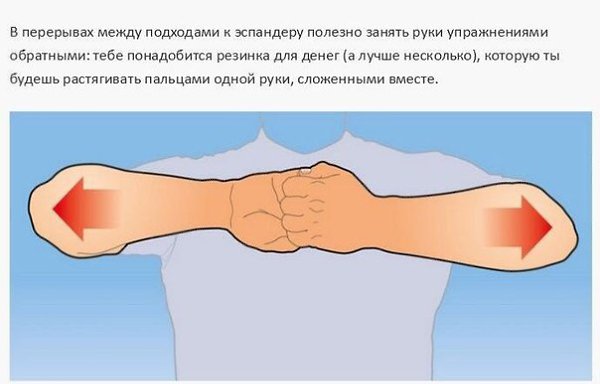 Простые и эффективные упражнения, которые позволят вам в короткие сроки увеличить силу хвата. - 8