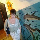 ���� �����, �������, 48 ��� - ��������� 28 ������ 2016 � ������ ���� ����������