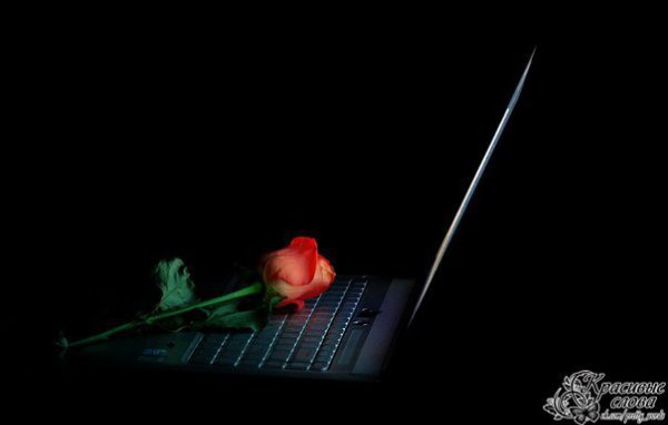 �����-������ ���� online �� ������.� ������� ��� �������� �� ����,��� ������ ���� �� ������ ...