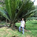 ���� ���������, ��������, 55 ��� - ��������� 9 ������ 2016 � ������ ���