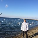 ���� �������, ���������, 44 ���� - ��������� 23 ������ 2016 � ������ ���� ����������