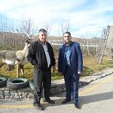 ���� ������, ����, 52 ���� - ��������� 5 ������ 2016 � ������ ���� ����������