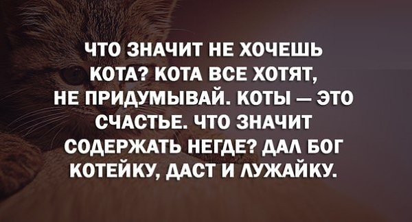 Art & Fun - 7  2016  10:07