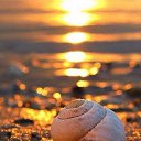 ���� Ya, ������ - ��������� 8 ������ 2015 � ������ ���� ����������