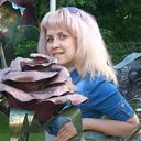 ���� �������, ������, 41 ��� - ��������� 17 ������� 2016 � ������ ���� ����������