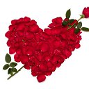 ���� ""����"", ����, 38 ��� - ��������� 23 ������ 2015 � ������ ���� ����������