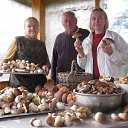 ���� ������, ������������, 54 ���� - ��������� 26 ������� 2015 � ������ ���� ����������