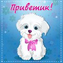 ���� �������, �����������, 58 ��� - ��������� 7 ������� 2016 � ������ �������� ��������