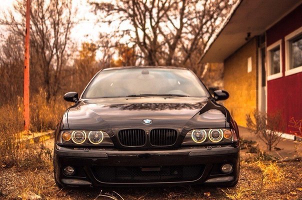  BMW      . BMW M5 (E39)    ! - 2