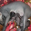 ���� ����, ���������� ����� - ��������� 4 ������� 2016 � ������ ���� ������