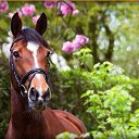 ���� ������ �������, �������, 67 ��� - ��������� 15 ������� 2015 � ������ ������ ����� � ���� .�