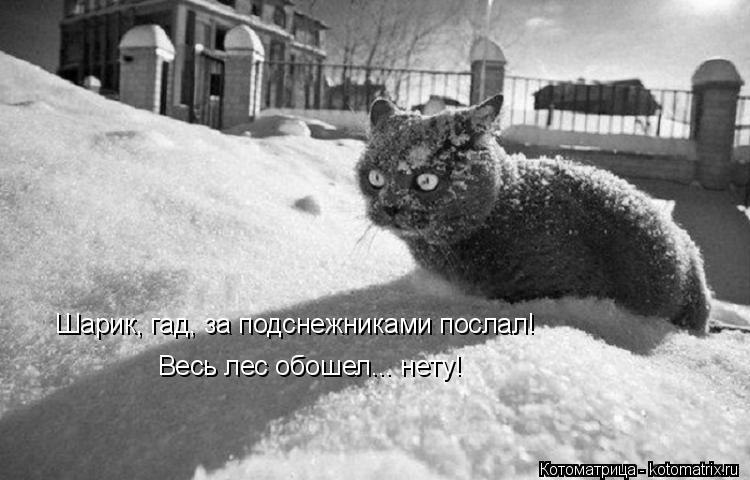 - 25  2015  19:37