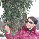 ���� ������� ��������, ����, 68 ��� - ��������� 12 ������� 2015 � ������ ������ ��������