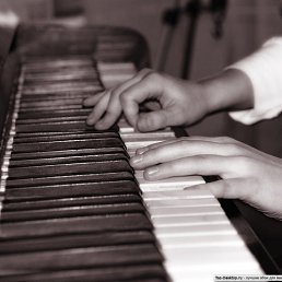 �����, �����, 35 ���