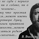 ���� ������, ��������������, 49 ��� - ��������� 23 ������� 2015 � ������ ������ ��������