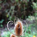 ���� �����, ����������� - ��������� 27 �������� 2015 � ������ ���� ����������