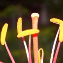 ���� �������, ���������, 64 ���� - ��������� 2 ������� 2015 � ������ ���� ����������