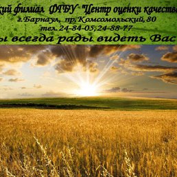 ���������, �������, 41 ���