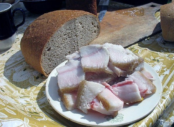 Рецепты соления сала.Сало представляет собой животный жир, который откладывается преимущественно под ...