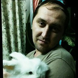 �����, ������, 49 ���