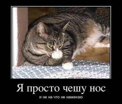 ***Victoria Viktorovna*** - 5  2016  09:25