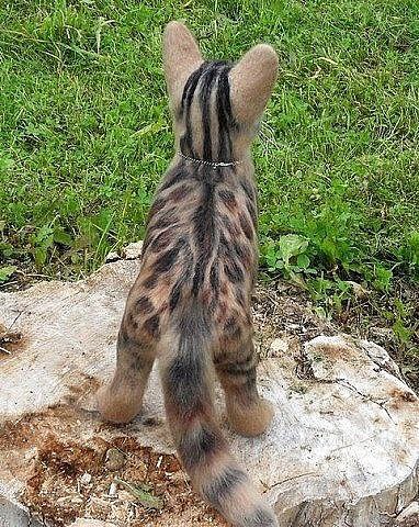  - 5  2015  13:20 - 4