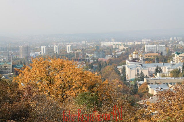    .    ...      ... ...