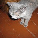 ���� ������, �����-���������, 70 ��� - ��������� 4 ������ 2015 � ������ ����� �����