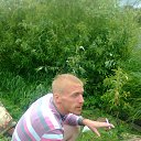 ���� ���������, ���������, 37 ��� - ��������� 13 ������ 2016 � ������ ���� ����������