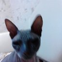 ���� ����, ���������� - ��������� 14 ������� 2016