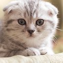 ���� �������, ��������� - ��������� 10 ����� 2016 � ������ ������