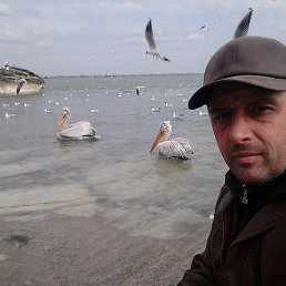 �������, ���������, 57 ���