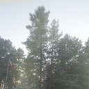 ���� ������ �������, ����� - ��������� 8 ������ 2016 � ������ ����������� ����!!!�