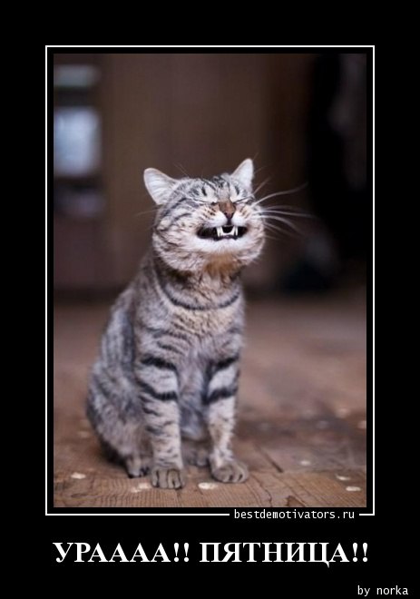 ***Victoria Viktorovna*** - 4  2016  05:04