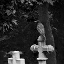 ���� Ma����, ������������, 32 ���� - ��������� 4 ������ 2015 � ������ ������ ��������