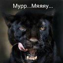 ���� ����, �������, 57 ��� - ��������� 30 ������ 2015 � ������ ���� ����������