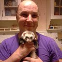 ���� �������, ��������, 52 ���� - ��������� 7 ������ 2015 � ������ ���� ����������