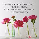 ���� �������, ����, 56 ��� - ��������� 25 ������� 2015 � ������ ������ ��������
