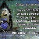 ���� �����, ������ - ��������� 22 ������ 2015 � ������ ���� ����������