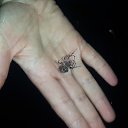 ���� �������, ����� - ��������� 28 ������� 2015 � ������ ���� ����������