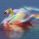 ���� ������, �����-���������, 58 ��� - ��������� 24 ������� 2015 � ������ ���� ����������